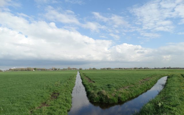 DSC01245