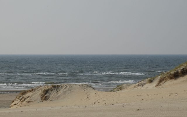 DSC07505