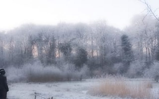Thijsse standbeeld winter (foto: verKennemerland)